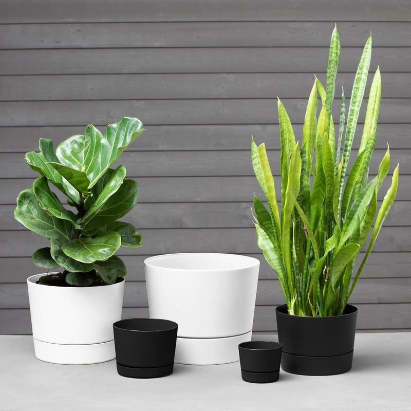 Root & Vessel Majestic Mid-Century Modern Low Profile Cylinder Pot, Matte Black, 6.5" - Image 1